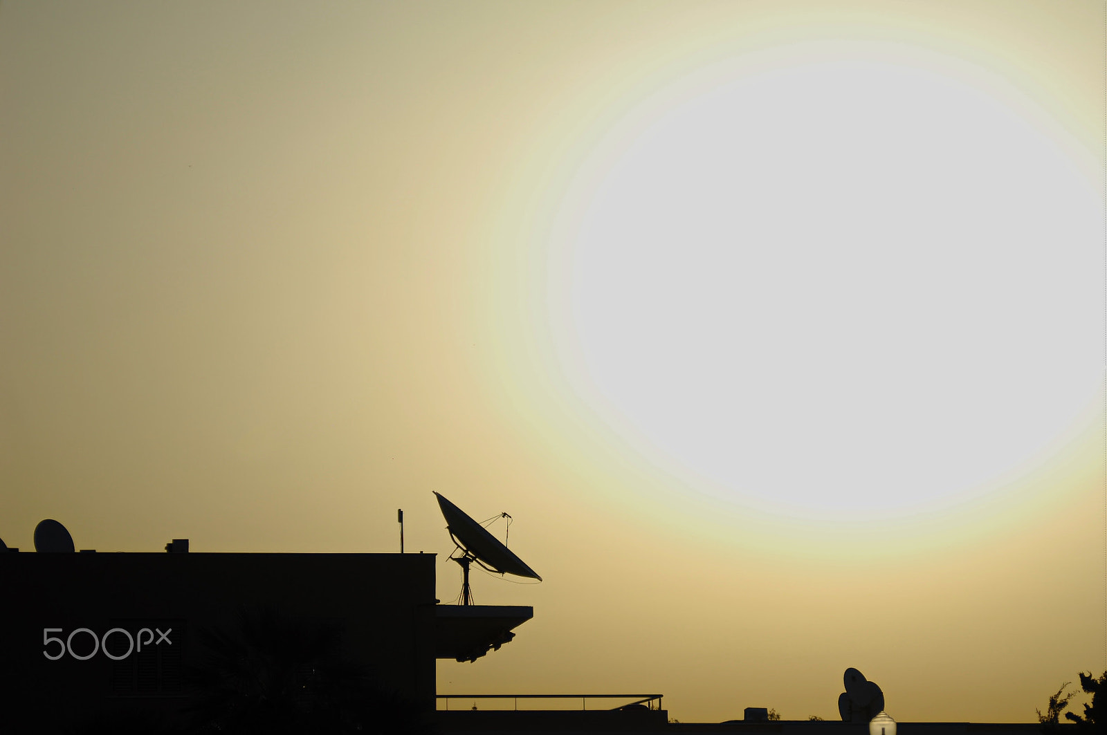 Nikon D2X sample photo. Sun and silhouette photography