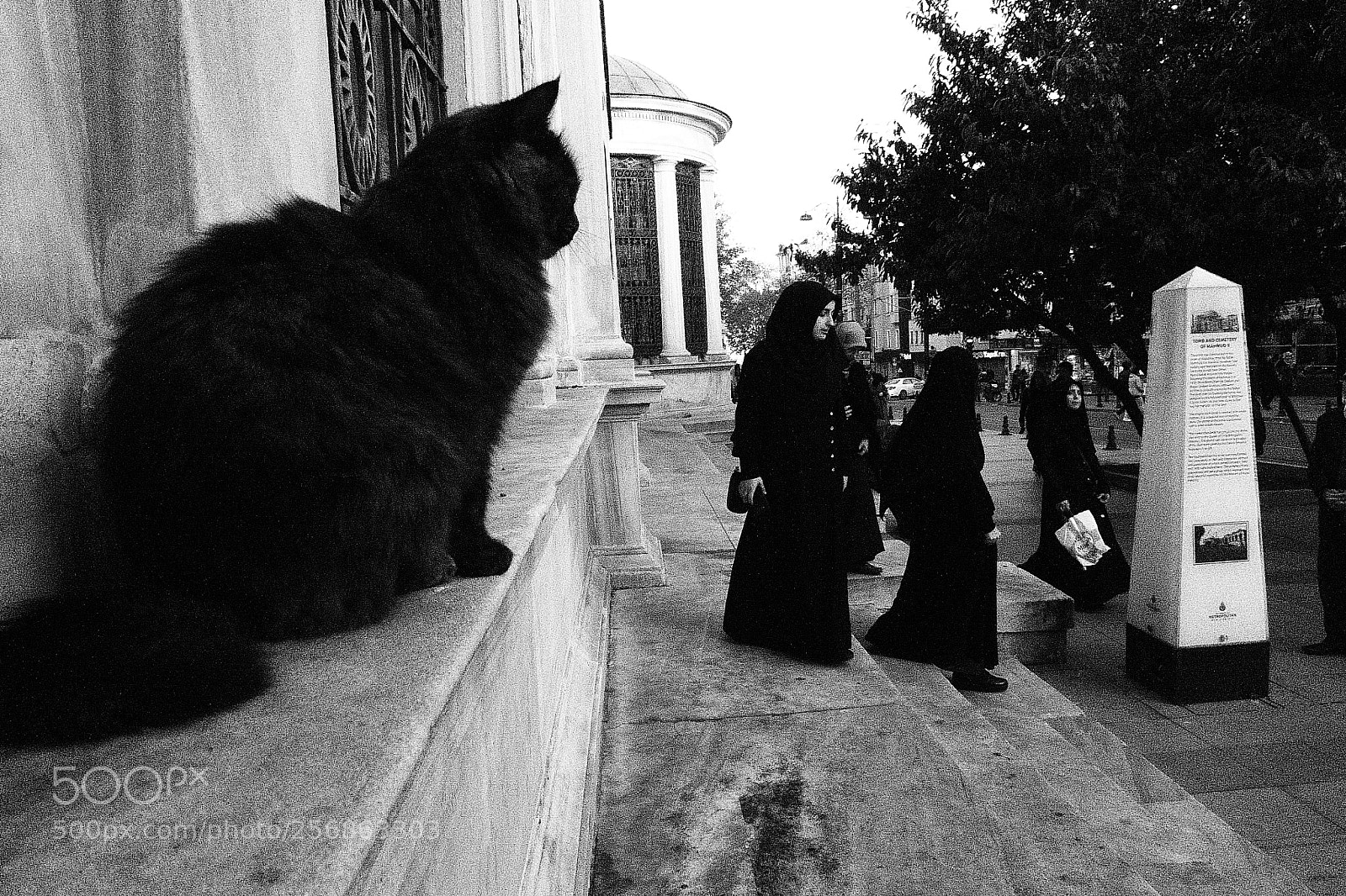 Panasonic Lumix DMC-ZS10 (Lumix DMC-TZ20 / Lumix DMC-TZ22) sample photo. Sultanahmet ... photography