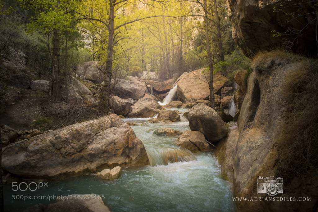 Sony a7 sample photo. Senda fluvial de hoz photography