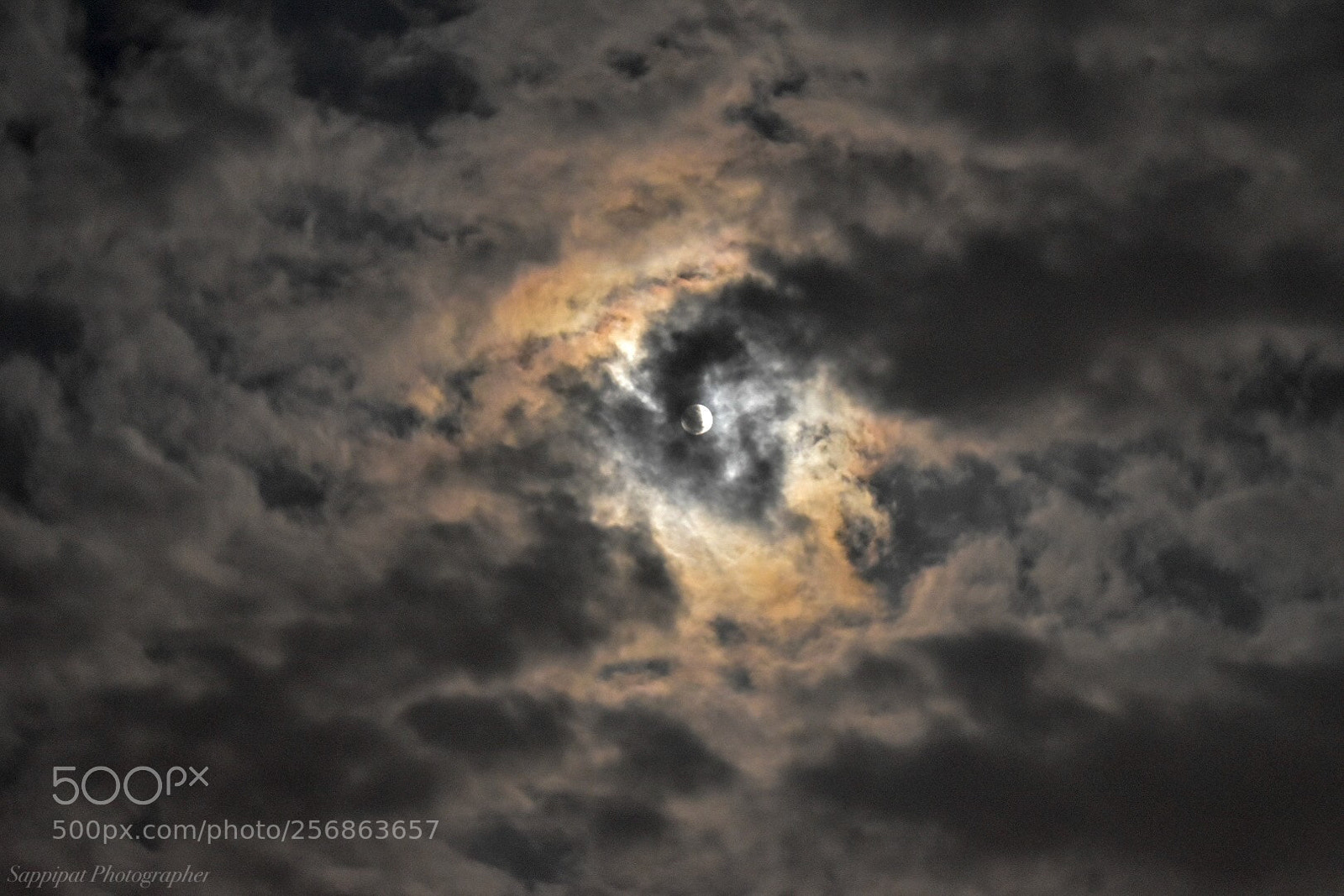 Nikon D5600 sample photo. Untitled photography
