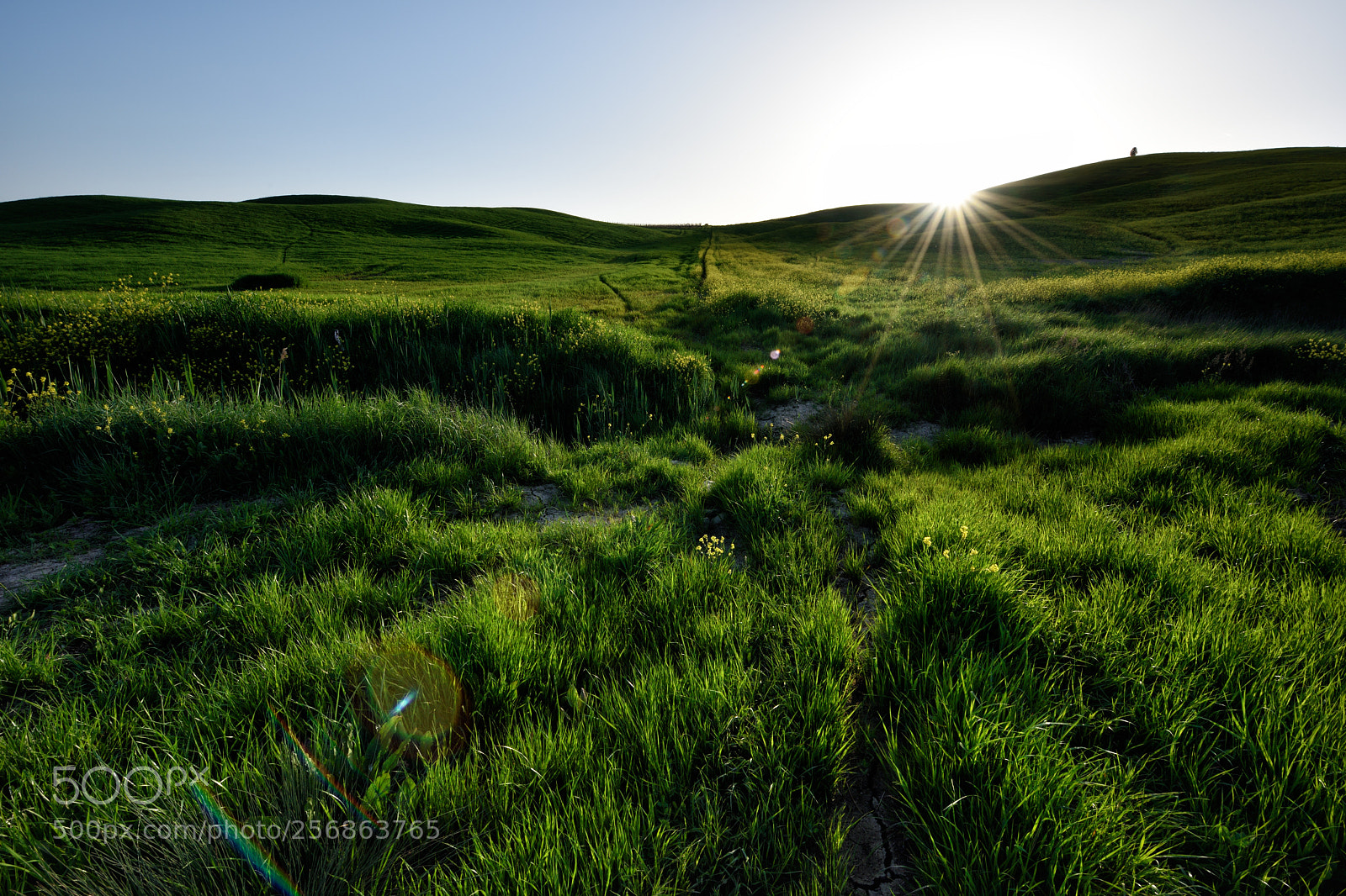 Nikon D810 sample photo. In sky and earth photography