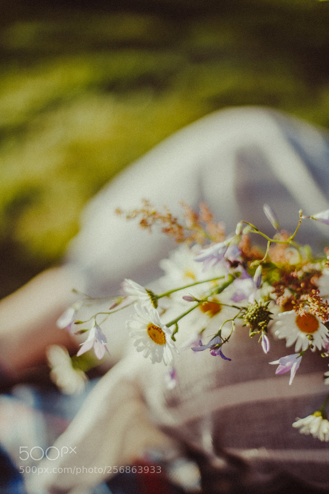 Canon EOS 6D sample photo. Piknik photography