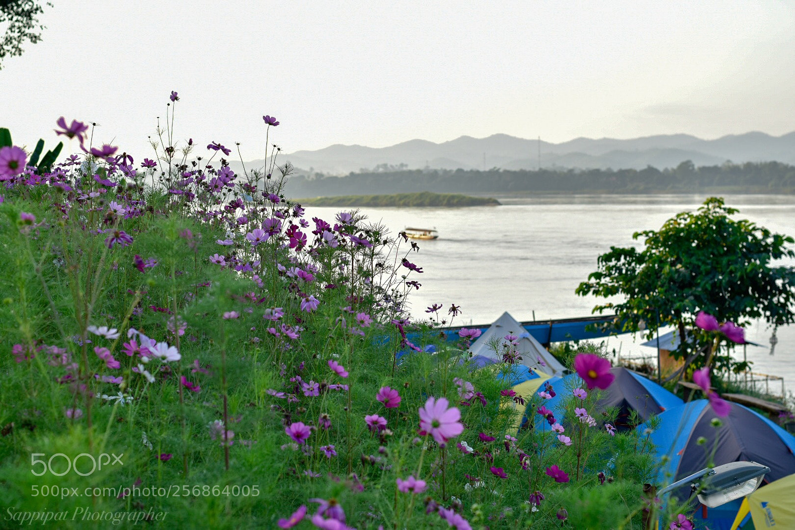 Nikon D5600 sample photo. Untitled photography