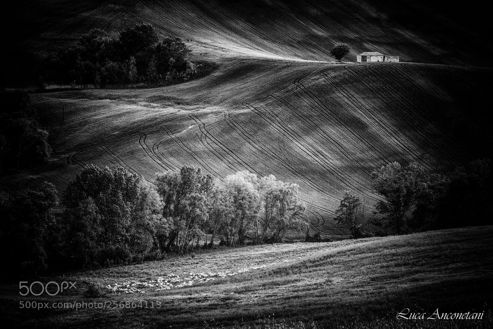 Nikon D610 sample photo. Italy photography