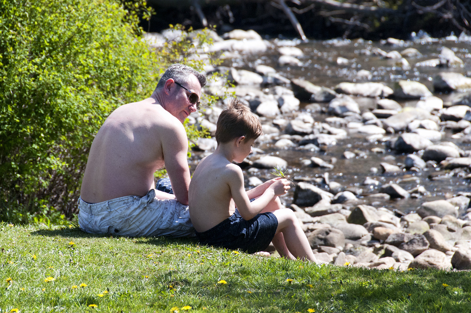 Nikon D300 sample photo. Down by the river photography