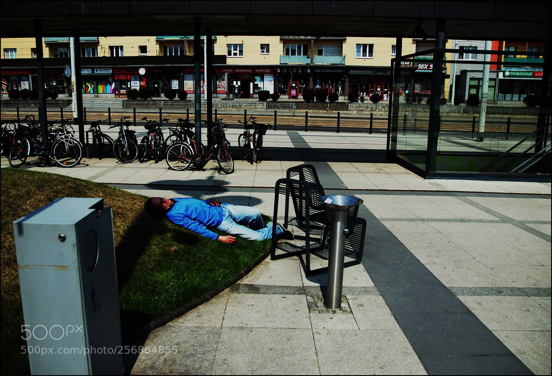 Canon EOS 7D Mark II sample photo. Untitled photography