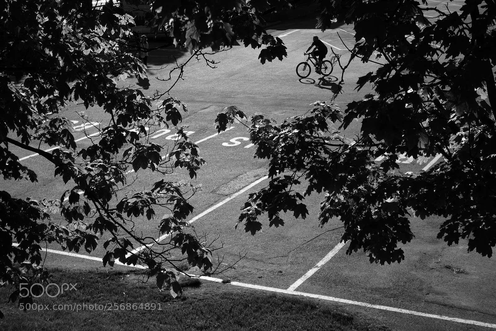 Panasonic Lumix DMC-GX85 (Lumix DMC-GX80 / Lumix DMC-GX7 Mark II) sample photo. By bike ... photography