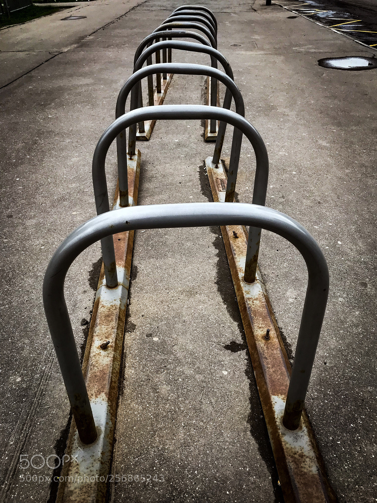 Apple iPhone 7 sample photo. Bicycle parking photography