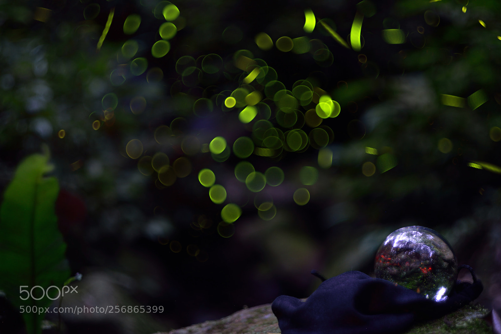 Nikon D610 sample photo. 八羽怪+水晶球 photography