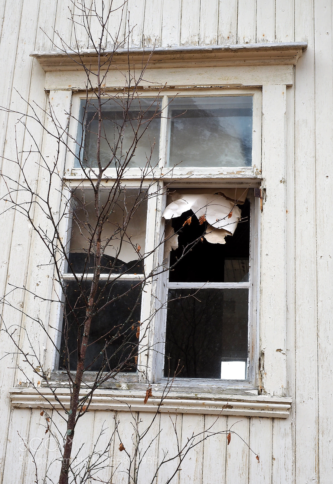 Olympus OM-D E-M1 sample photo. Broken window photography