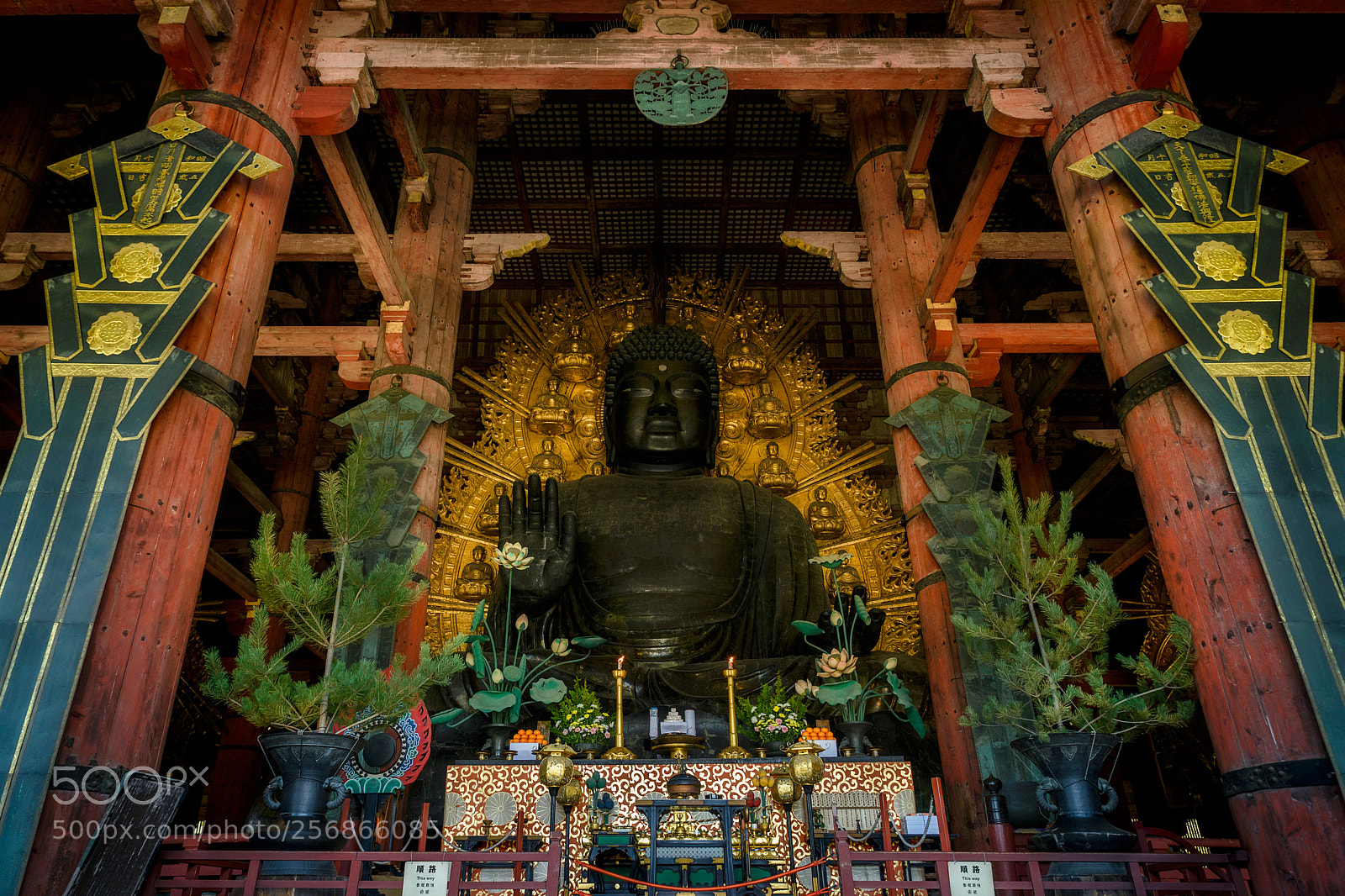 Nikon D610 sample photo. Todaiji temple photography