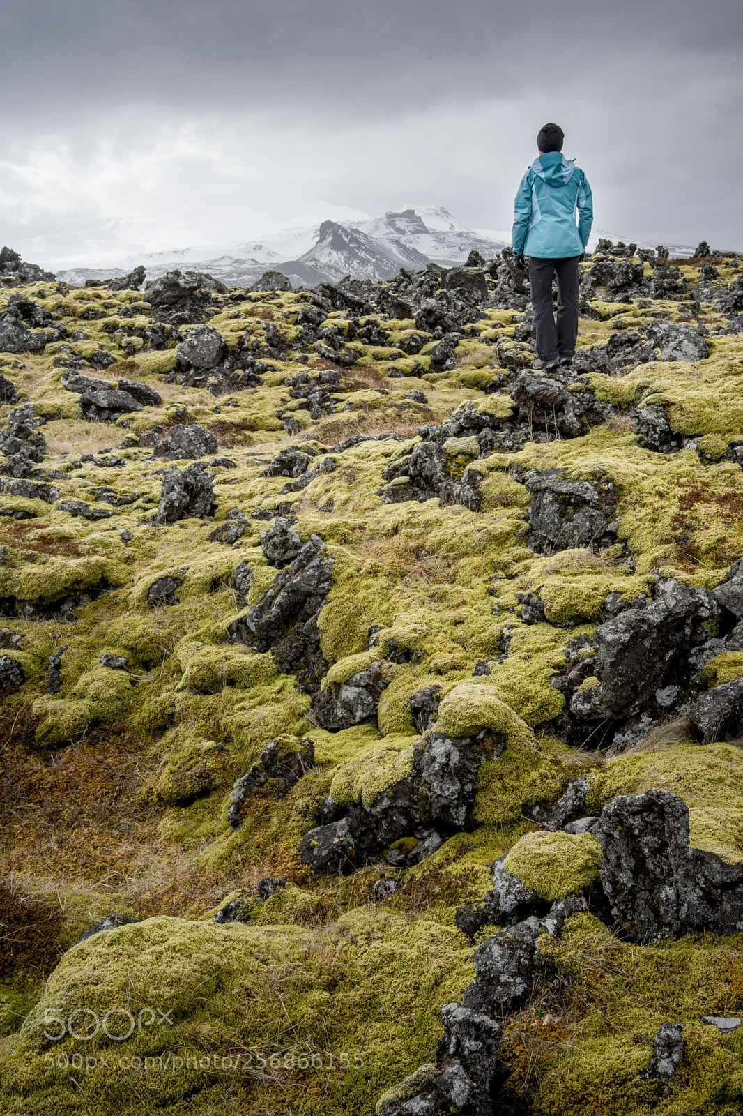Sony a7 II sample photo. Iceland lava field photography