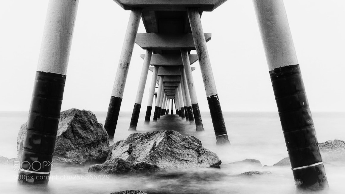 Sony a6500 sample photo. Pont del petroli photography