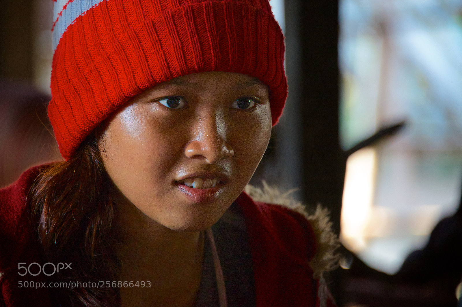 Nikon D600 sample photo. Cold morning photography