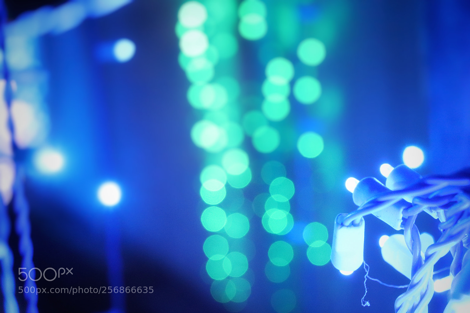 Canon EOS 77D (EOS 9000D / EOS 770D) sample photo. Light photography photography