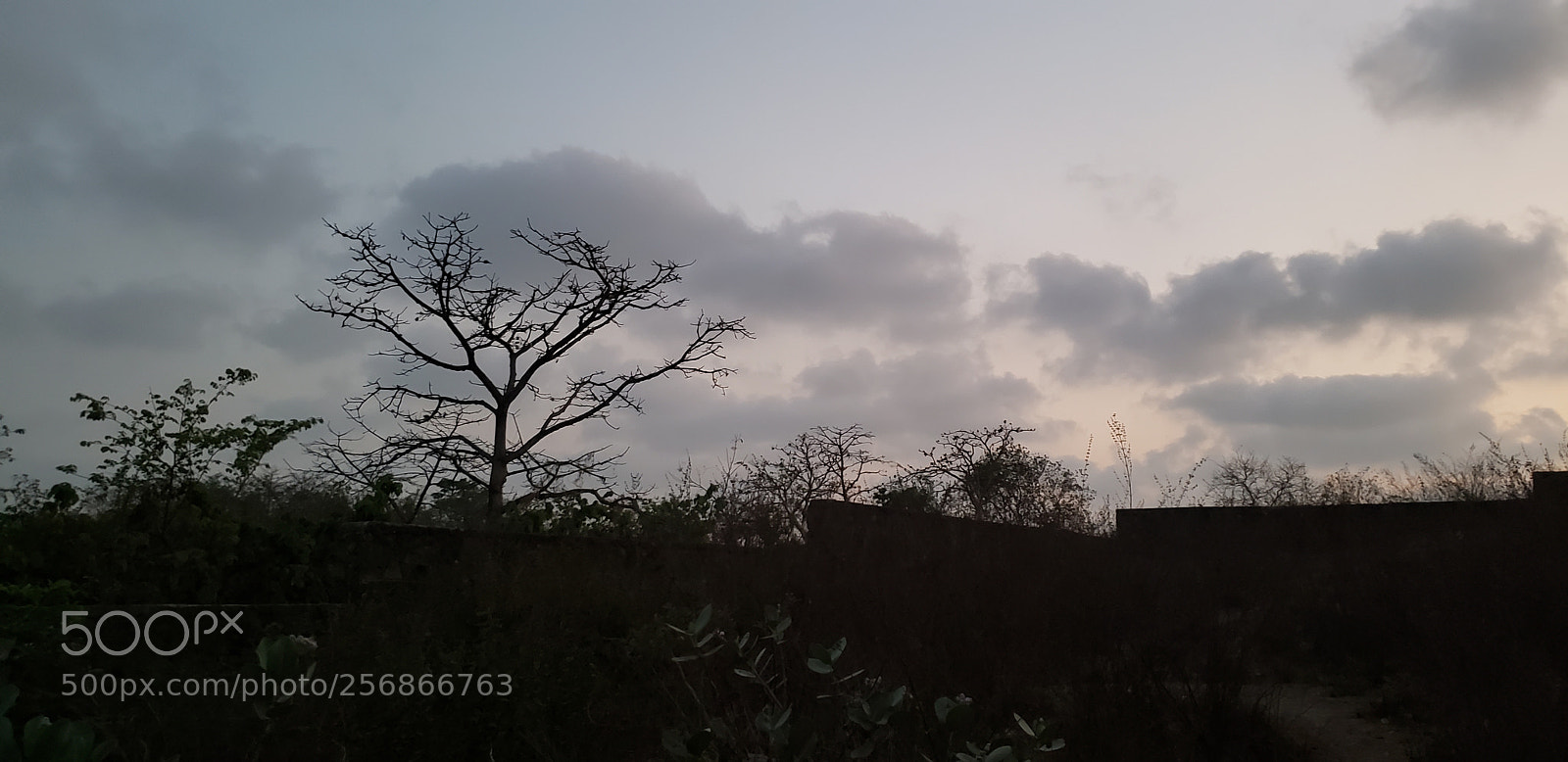 Samsung Galaxy S9 sample photo. Devils night photography
