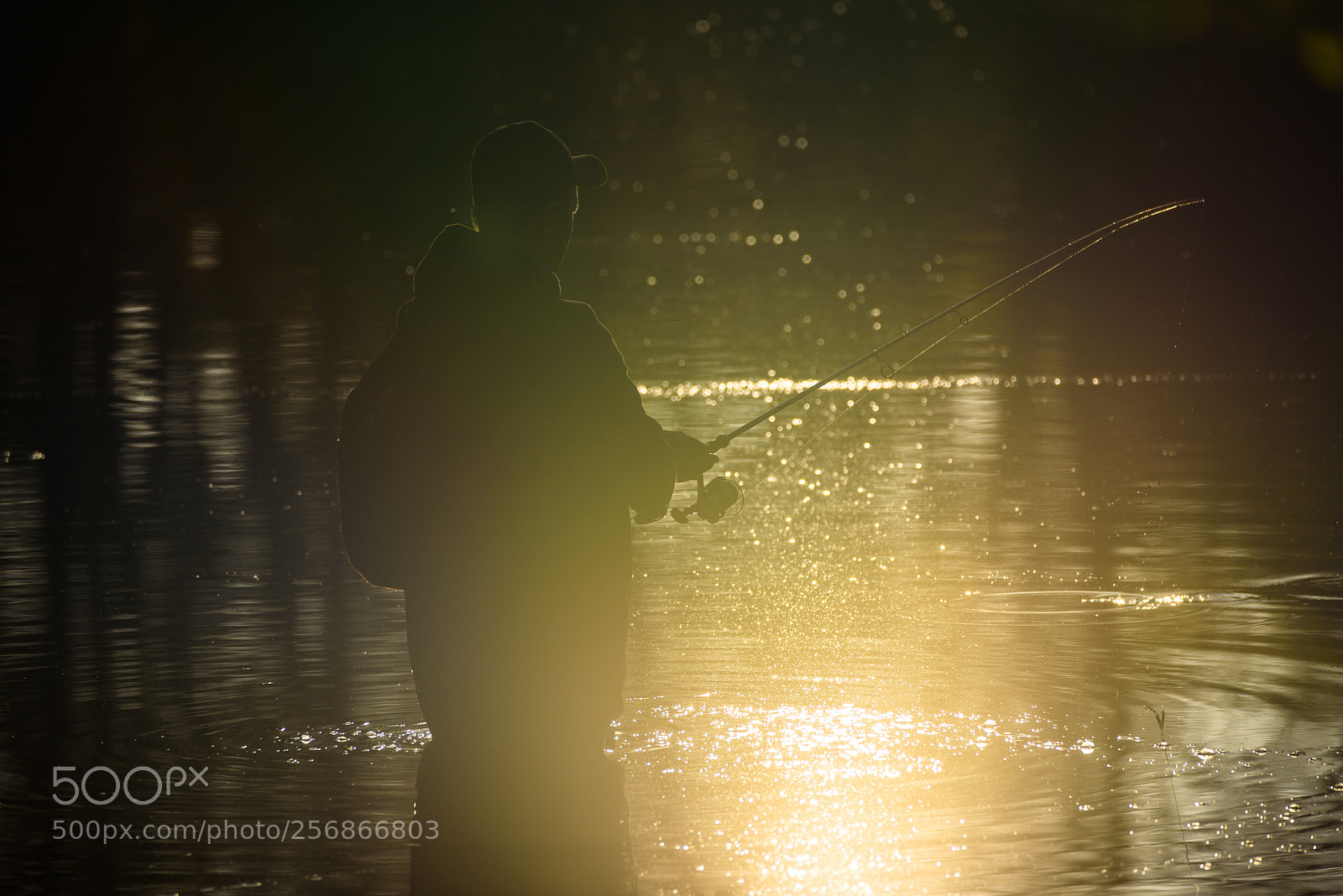 Nikon D750 sample photo. Fisherman in lake, during photography