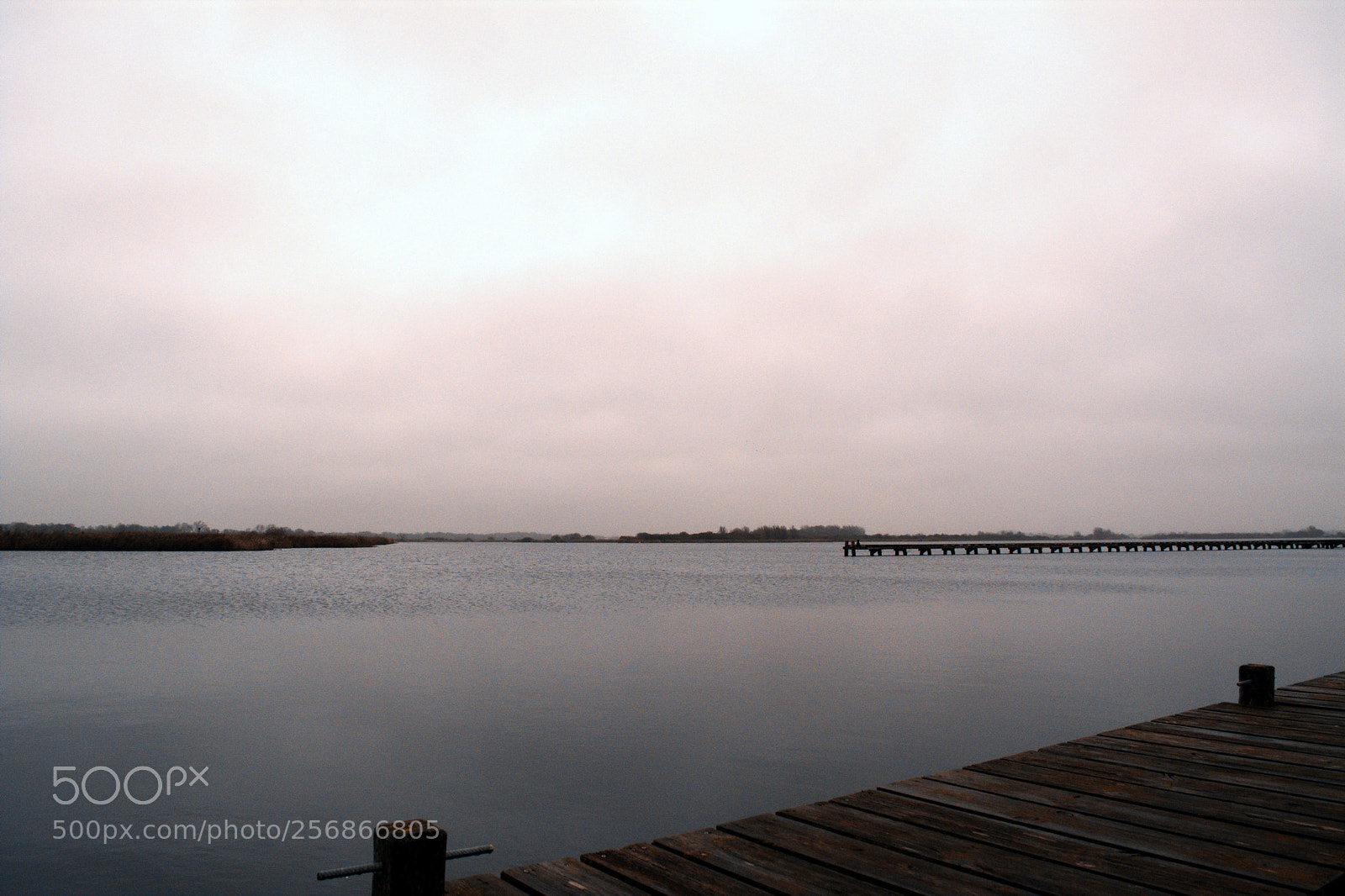 Nikon D5200 sample photo. Sitting on the dock photography