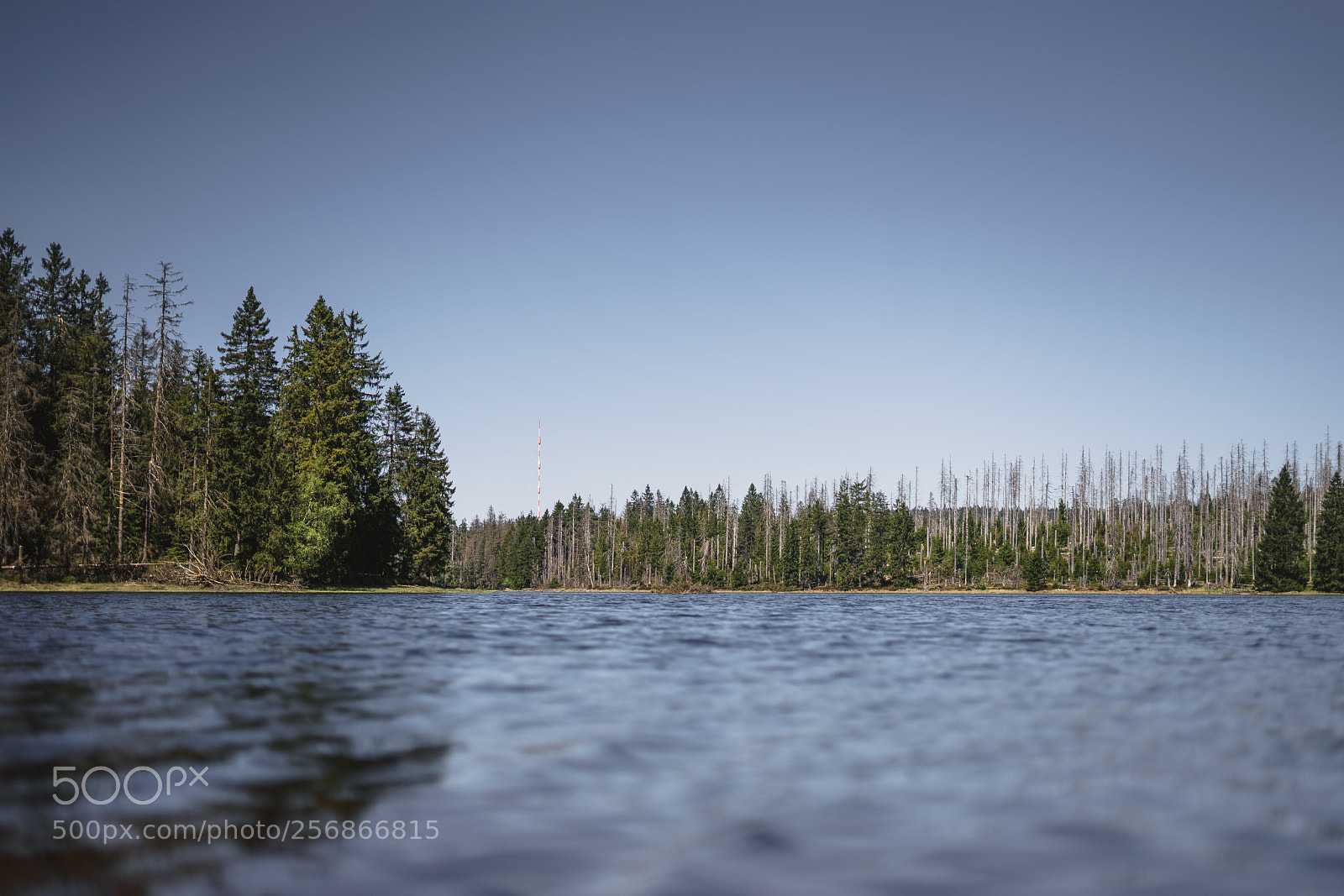 Sony a7 sample photo. Harz 2 photography