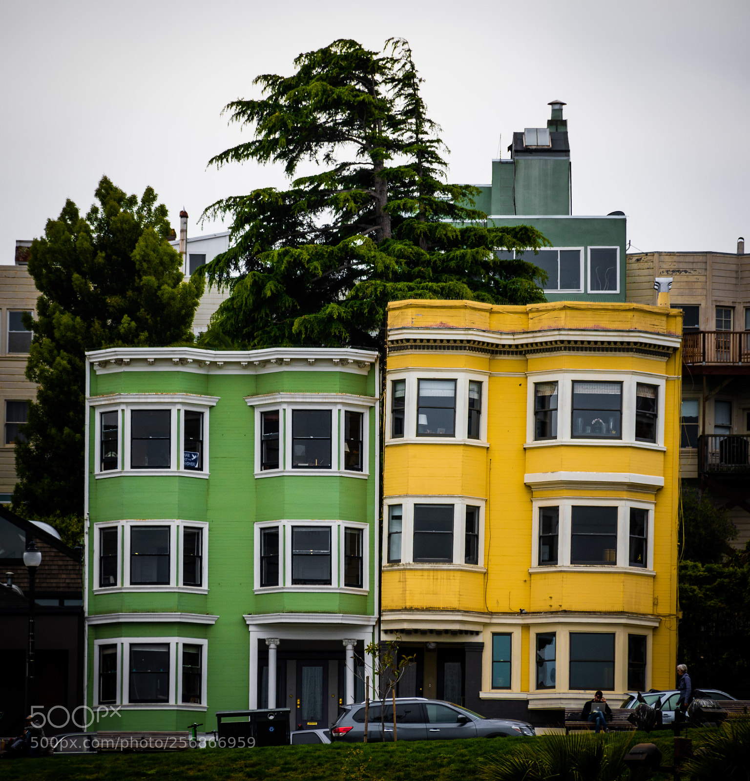 Nikon D5600 sample photo. Colored buildings photography