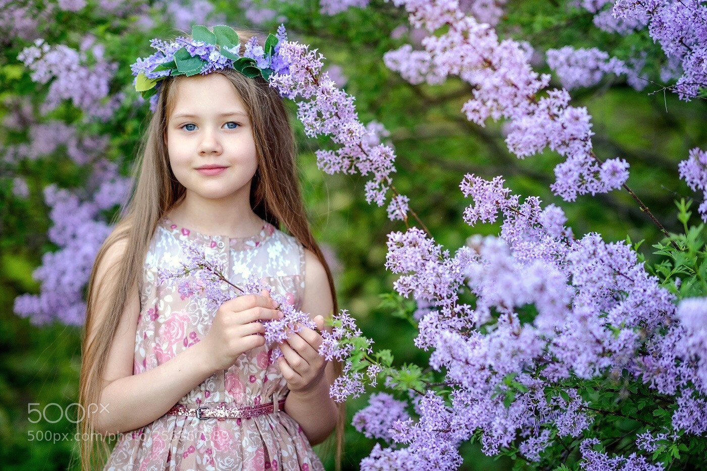 Nikon D810 sample photo. Untitled photography