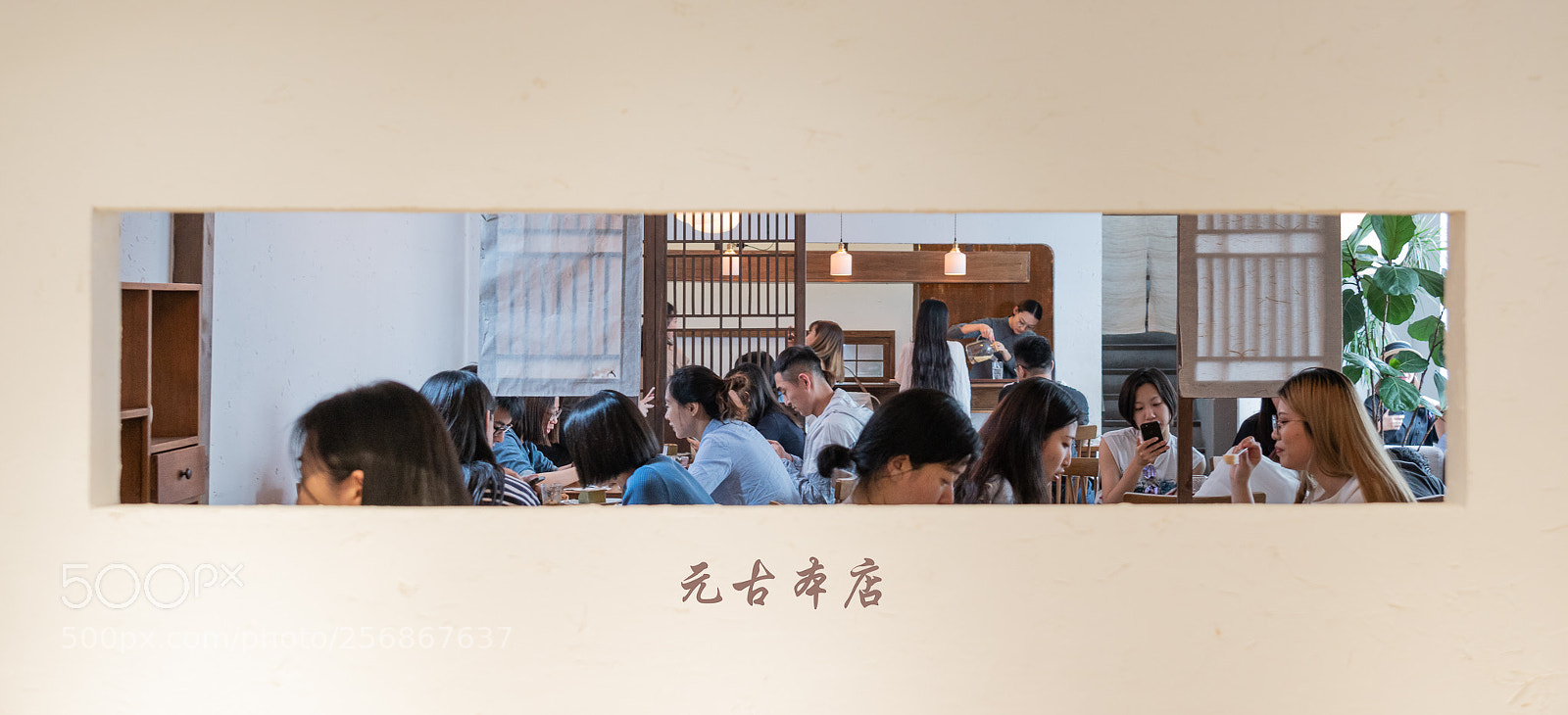 Sony a7R III sample photo. Life is life. photography
