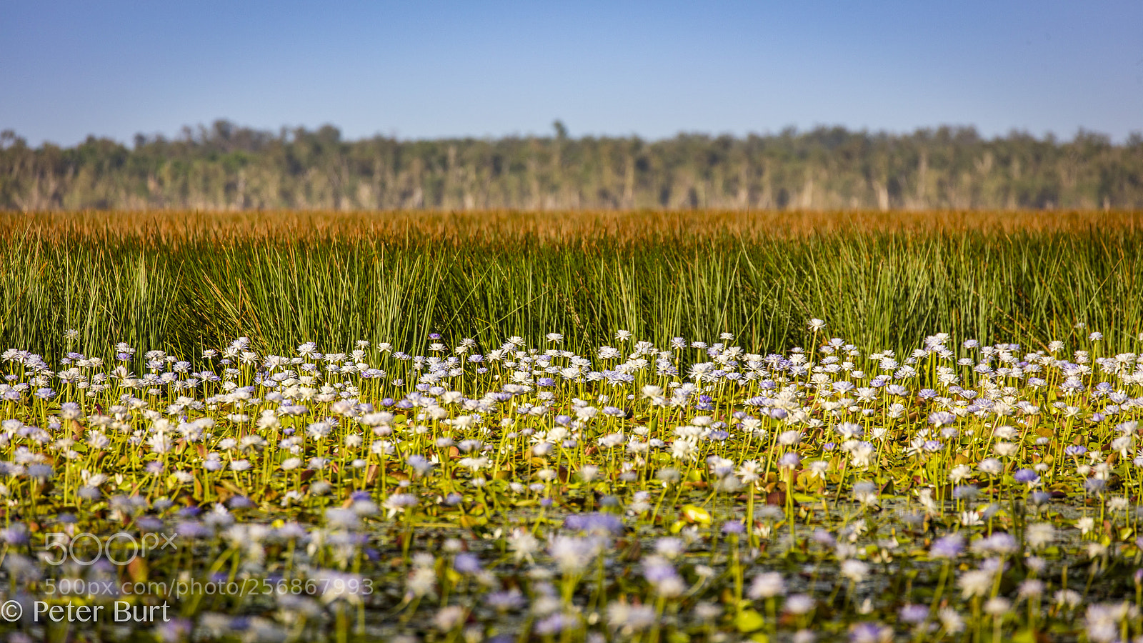 Canon EOS 5DS R sample photo. Layers photography