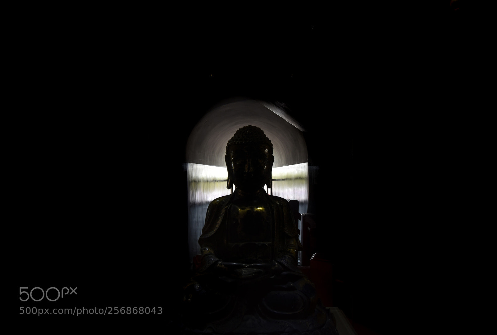 Nikon D5500 sample photo. Edit photography