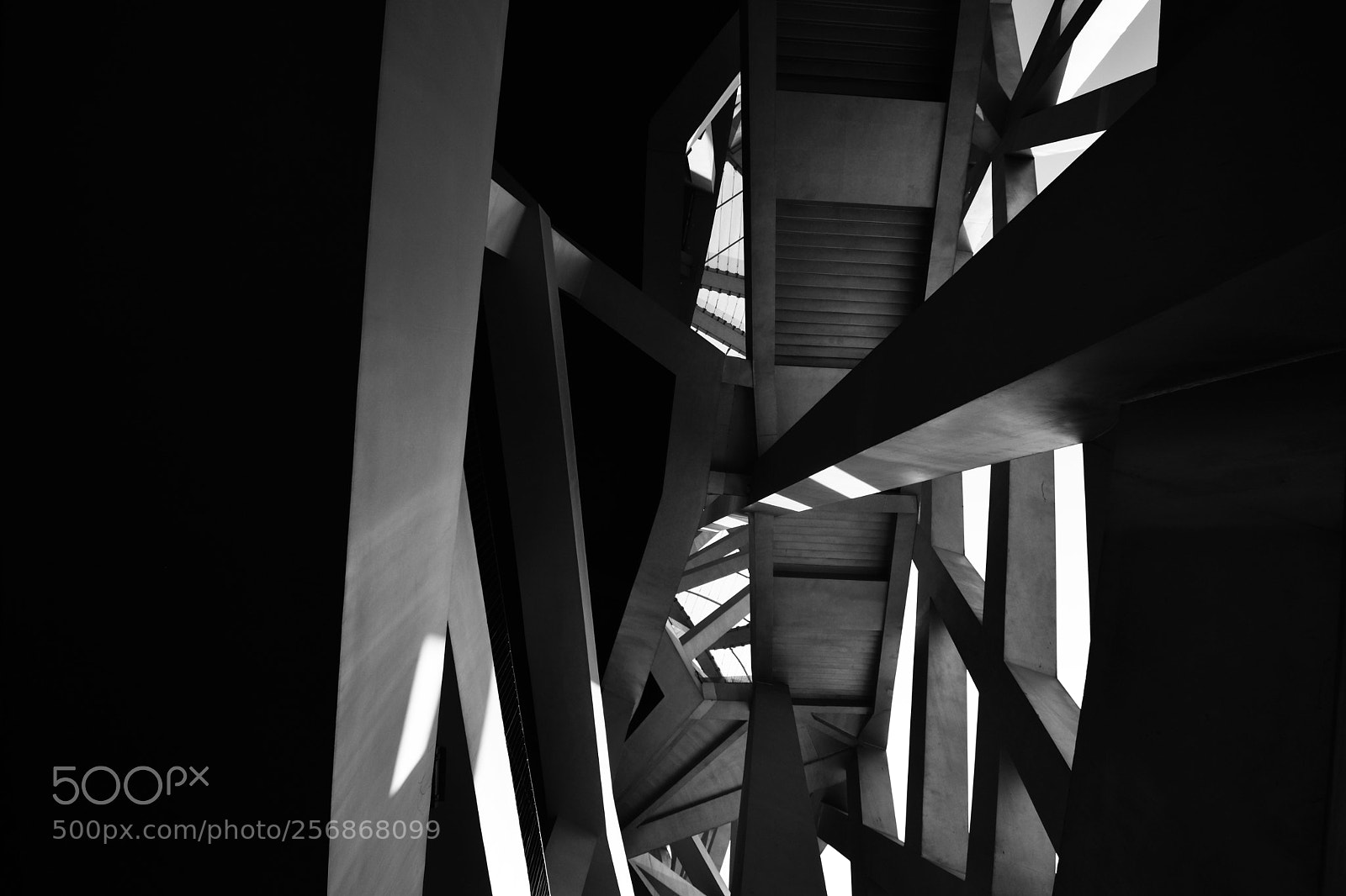 Nikon D5500 sample photo. Birds nest stadium photography
