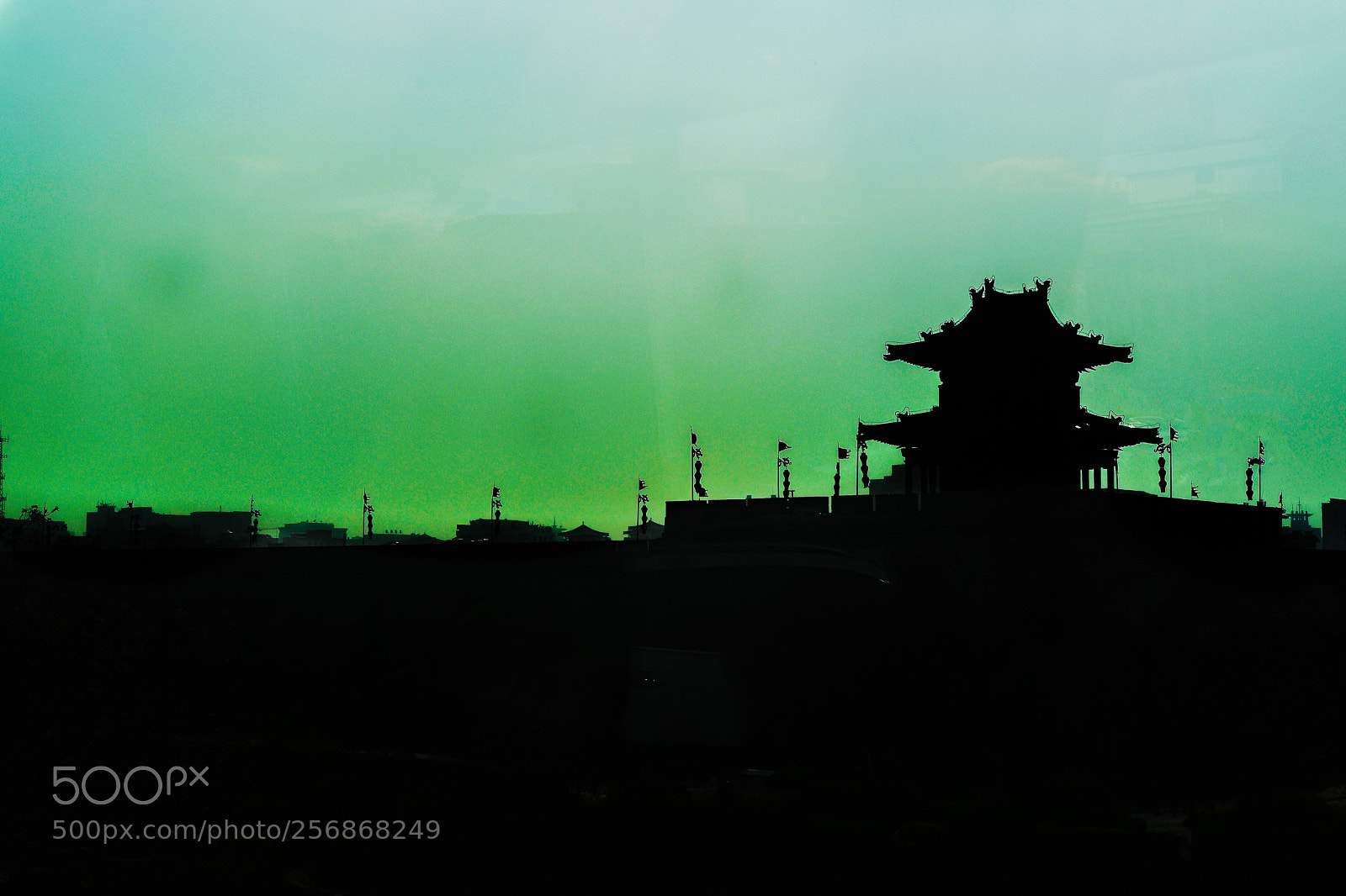 Nikon D5500 sample photo. Green skies photography