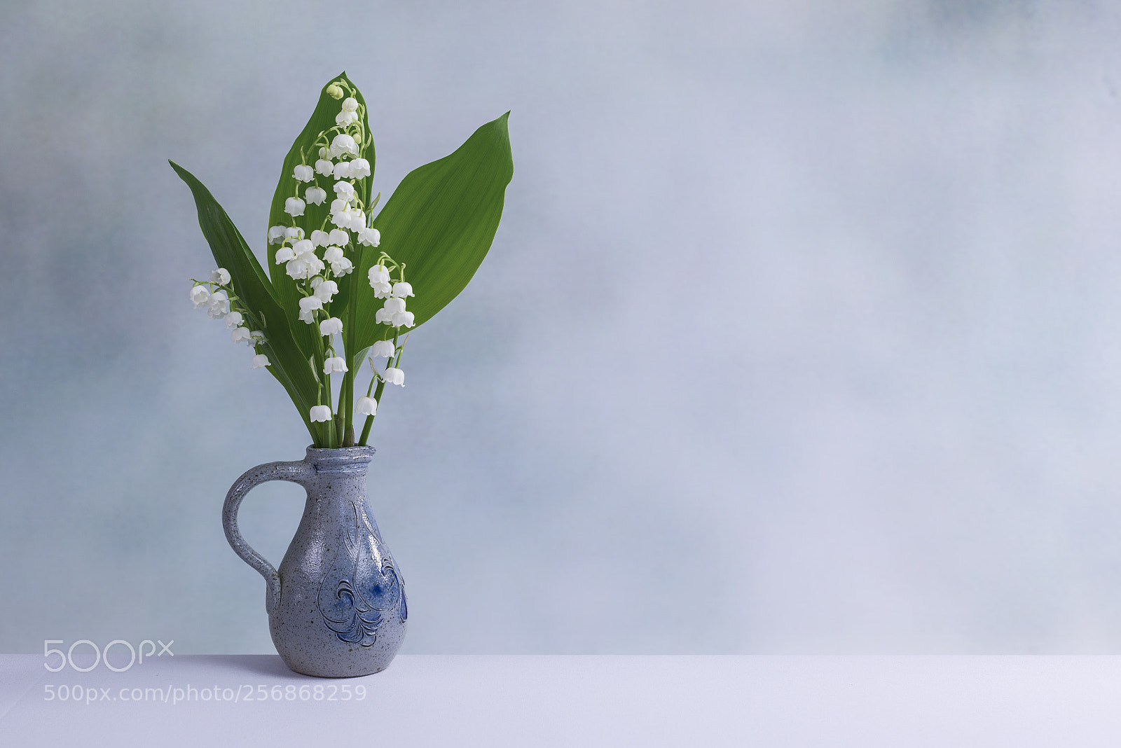 Nikon D600 sample photo. Muguet photography