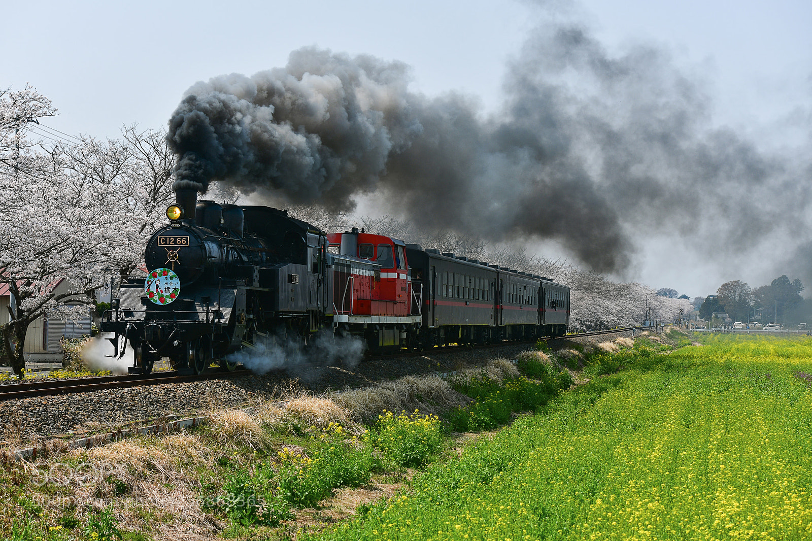 Nikon D850 sample photo. Steam locomotive 3 photography
