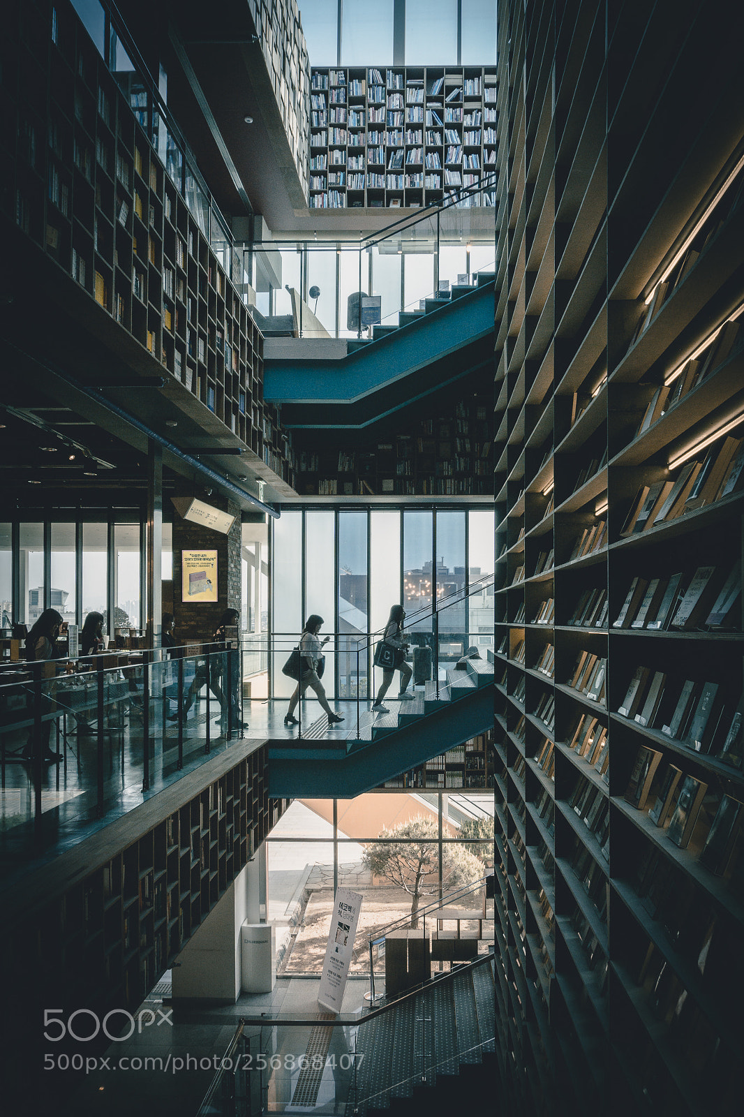 Sony a6000 sample photo. Bookstore in seoul photography