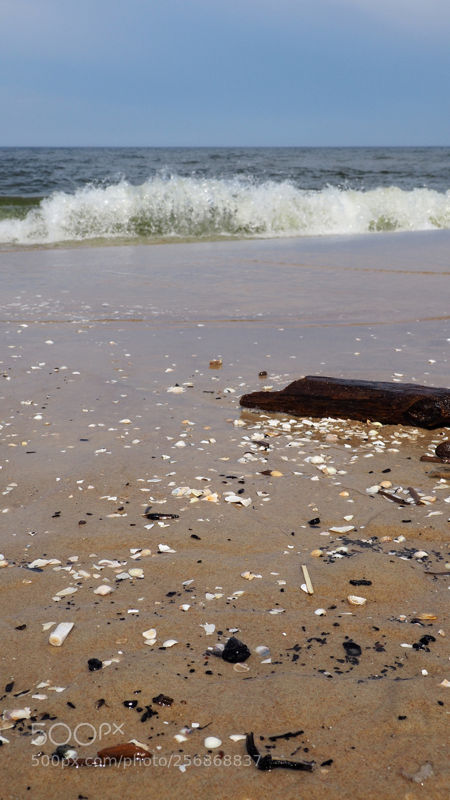 Olympus OM-D E-M10 II sample photo. Sea photography