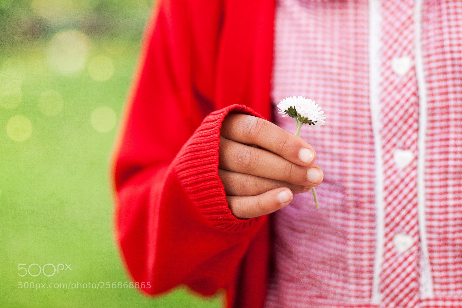 Canon EOS 5D Mark II sample photo. Small things photography