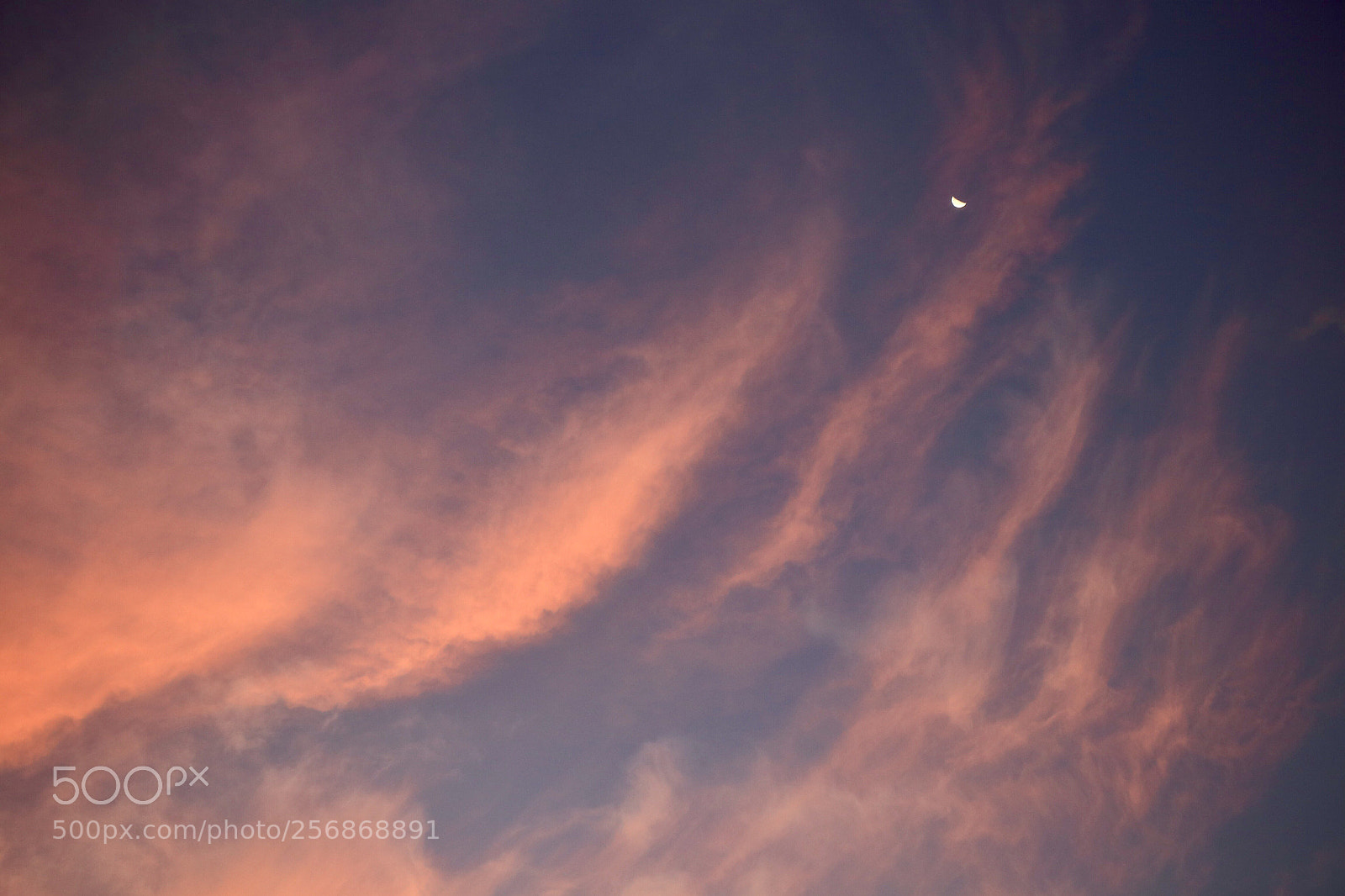 Canon EOS 6D sample photo. Moon photography