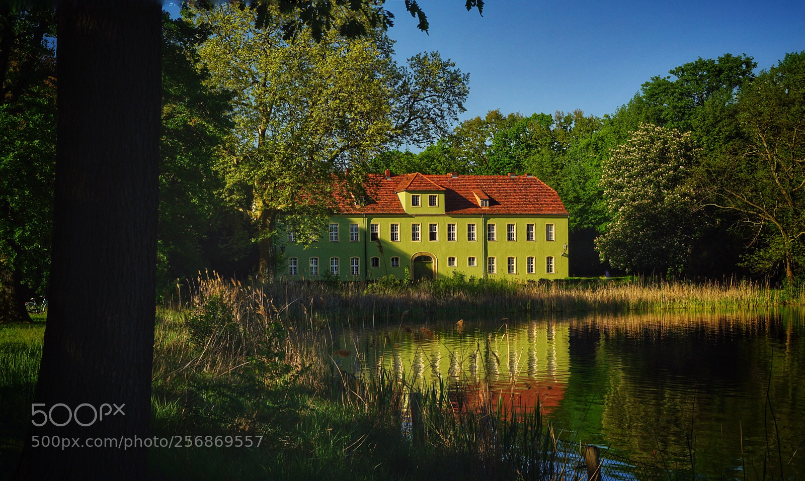 Sony a6000 sample photo. Green house photography