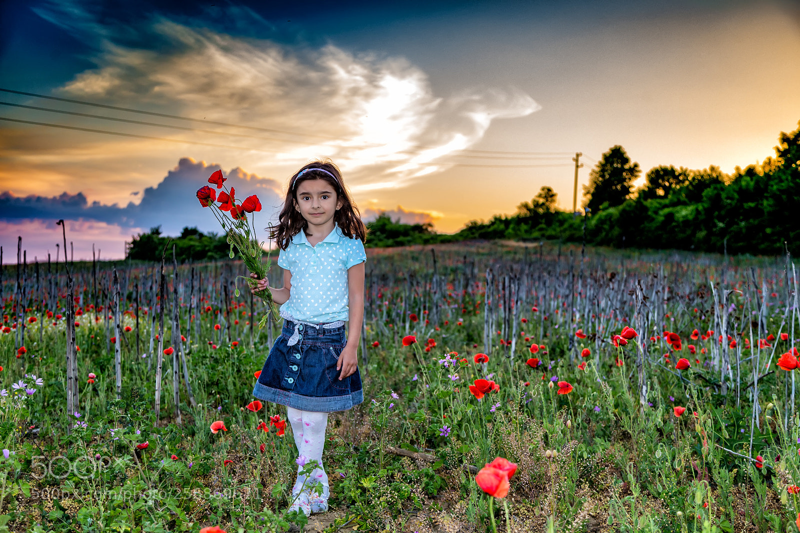 Canon EOS 6D sample photo. Pursuit of the sunset photography