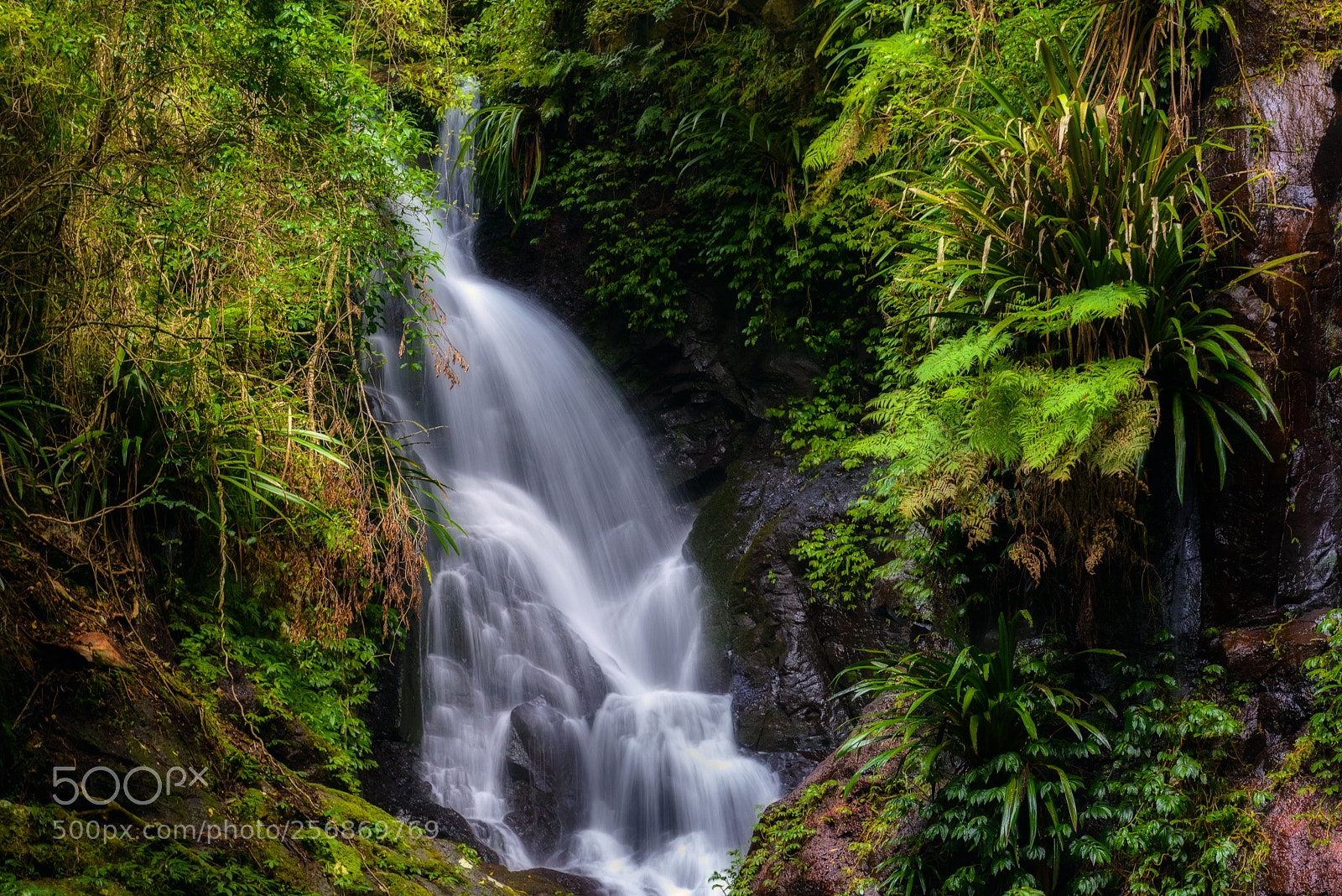 Nikon D800E sample photo. Elabana falls photography