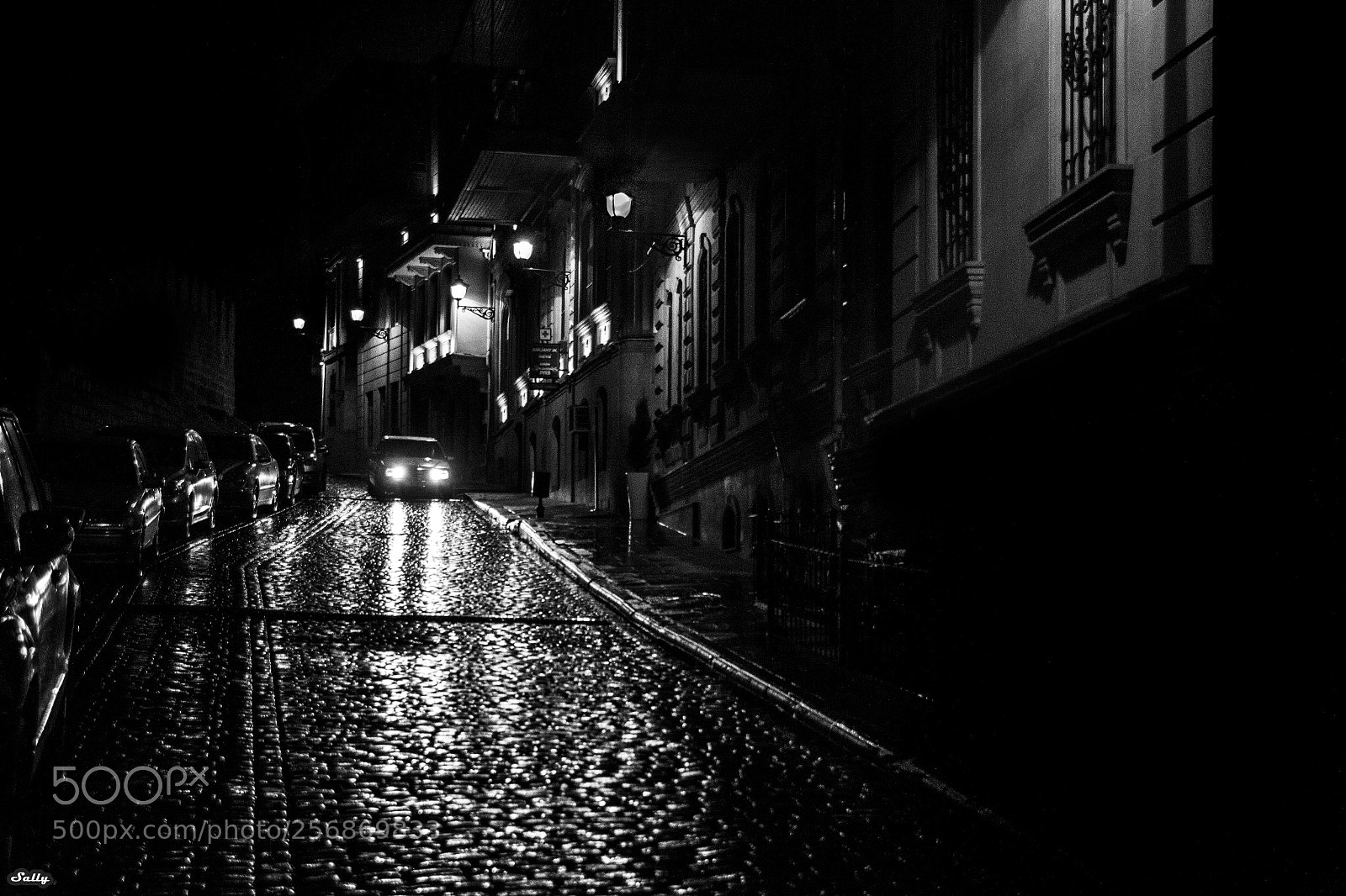 Canon EOS 650D (EOS Rebel T4i / EOS Kiss X6i) sample photo. Noire photography