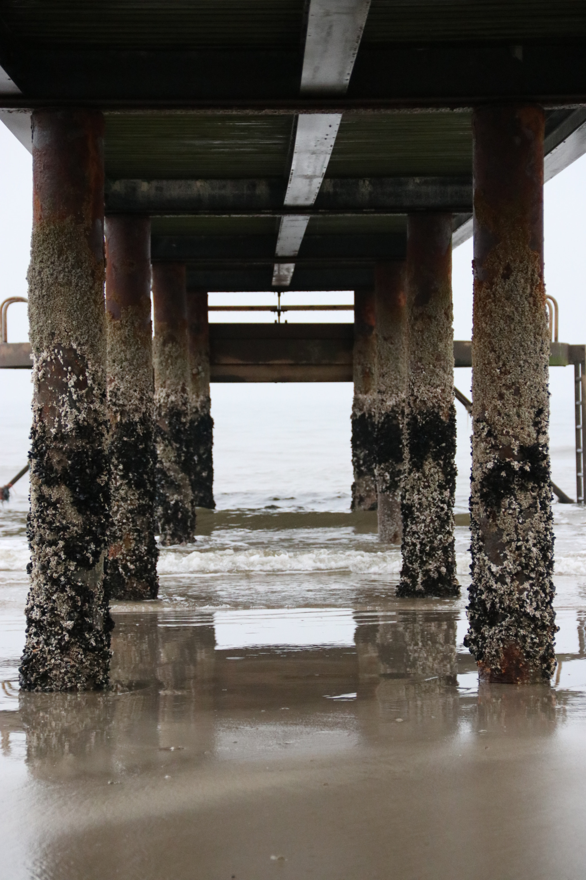 Canon EF-S 18-135mm F3.5-5.6 IS sample photo. Low tide photography