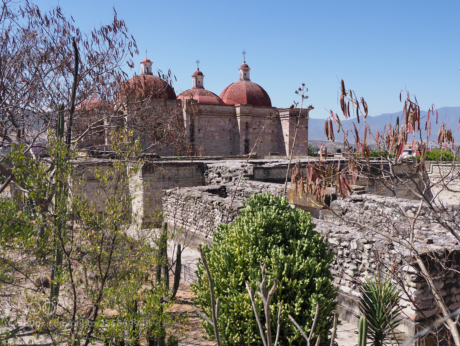Olympus OM-D E-M1 Mark II sample photo. Church of san pedro photography