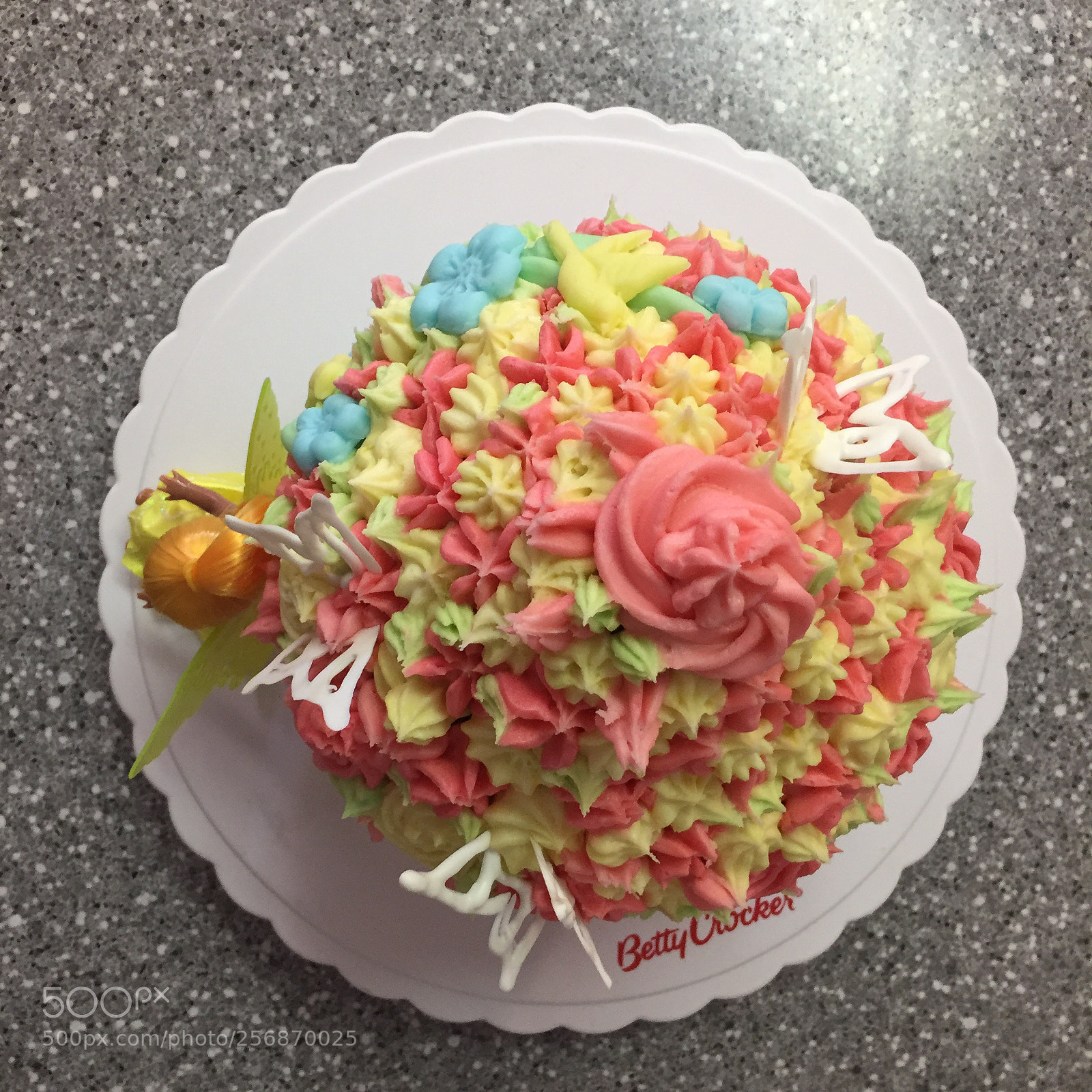 Apple iPhone 6 sample photo. Beautiful cake  photography