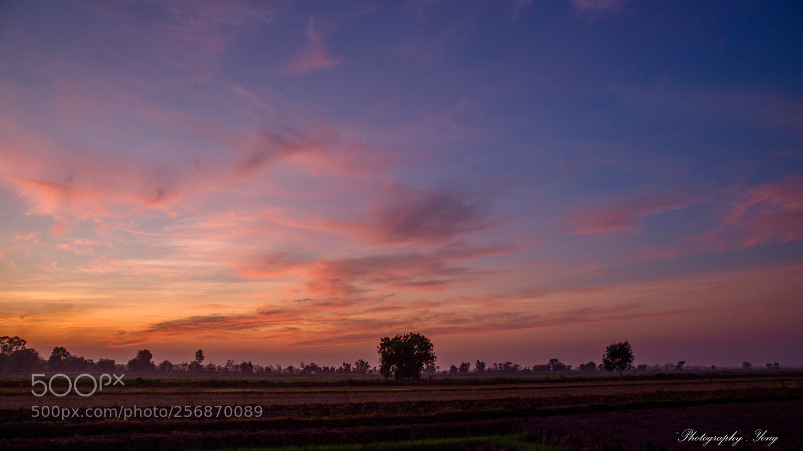 Canon EOS 6D sample photo. Morning photography