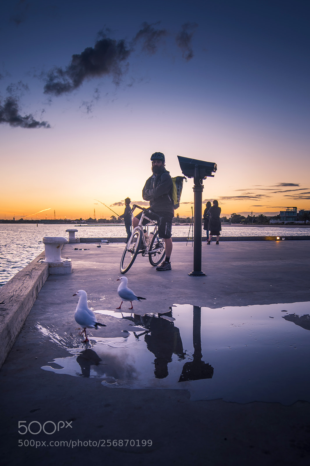 Nikon D810 sample photo. In sunset photography