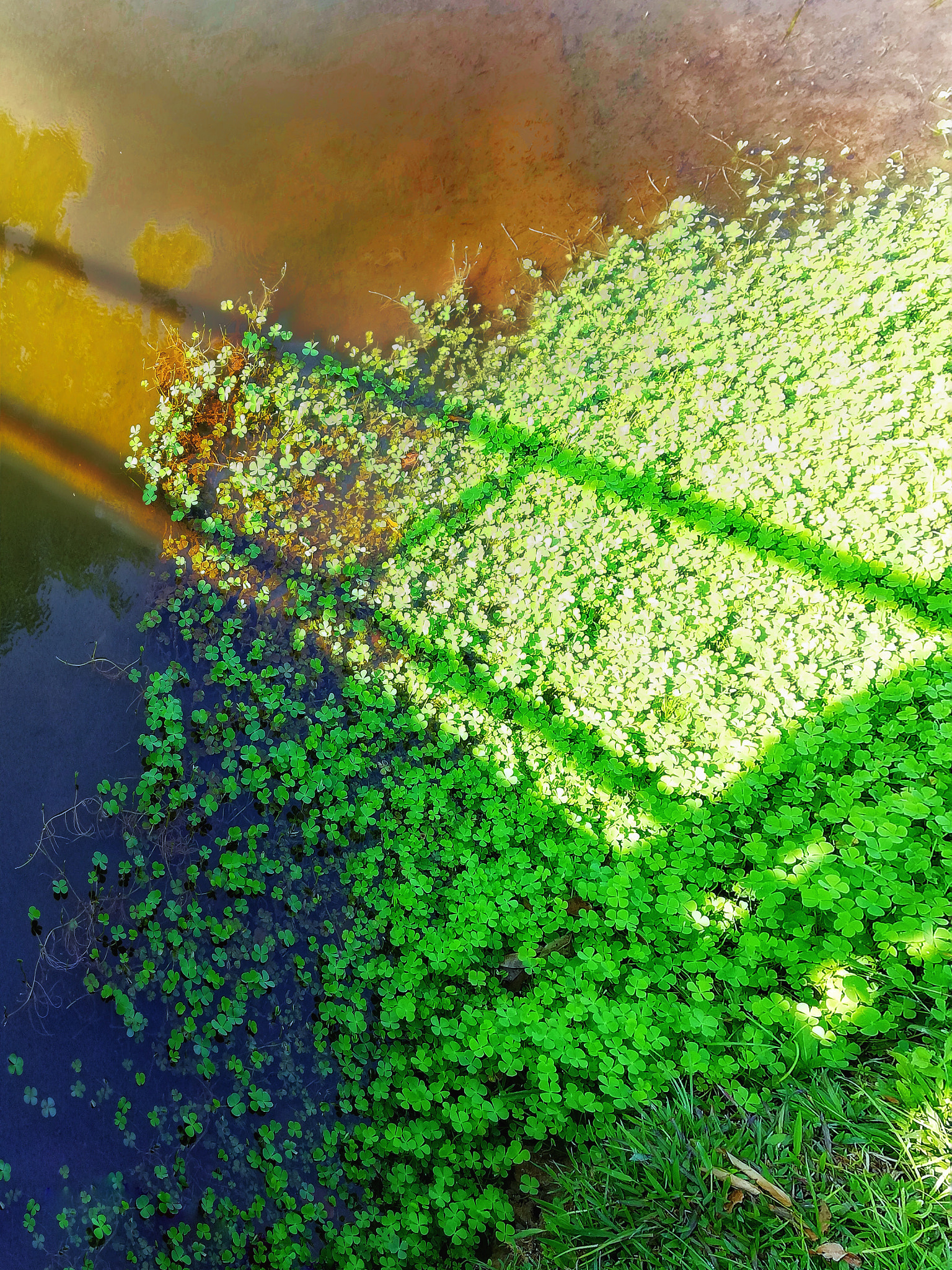 HUAWEI nova 2i sample photo