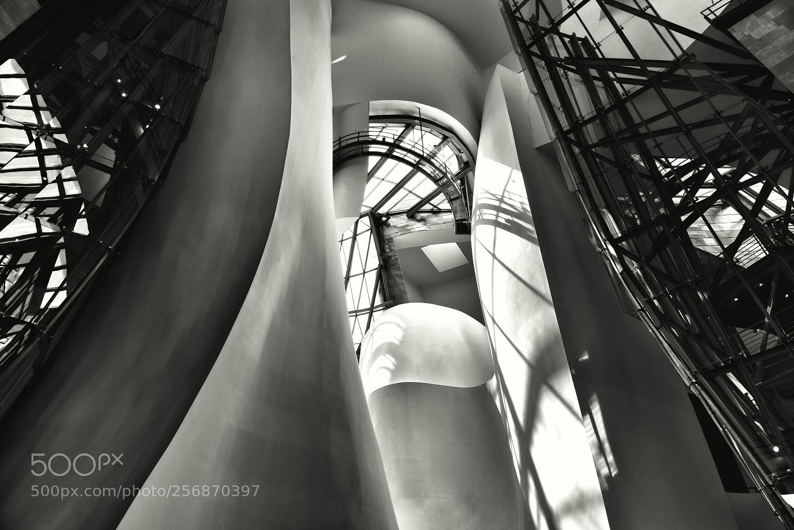 Nikon D810 sample photo. The guggenheim, bilbao photography