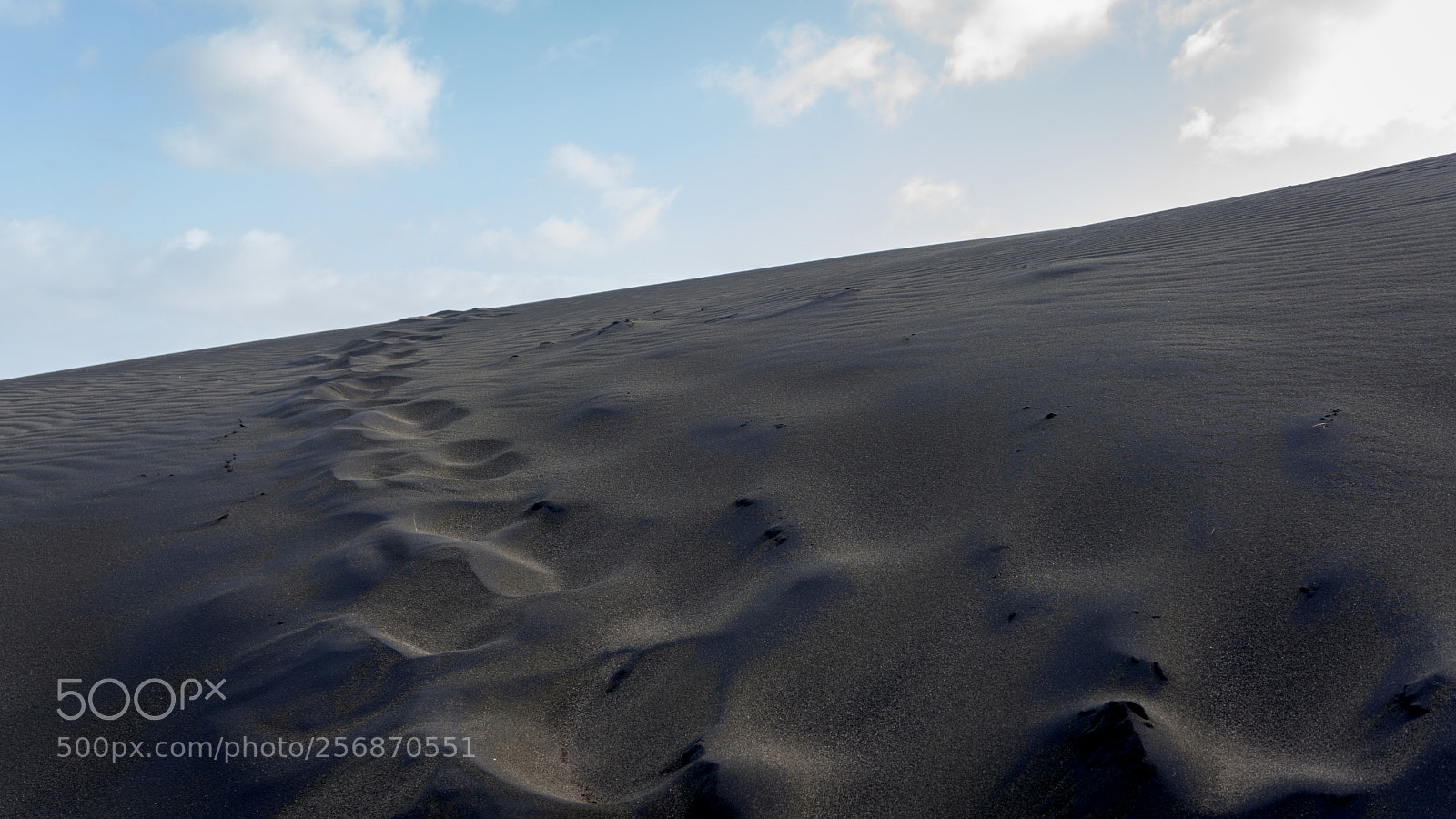 Sony a6000 sample photo. Climbing the dune photography