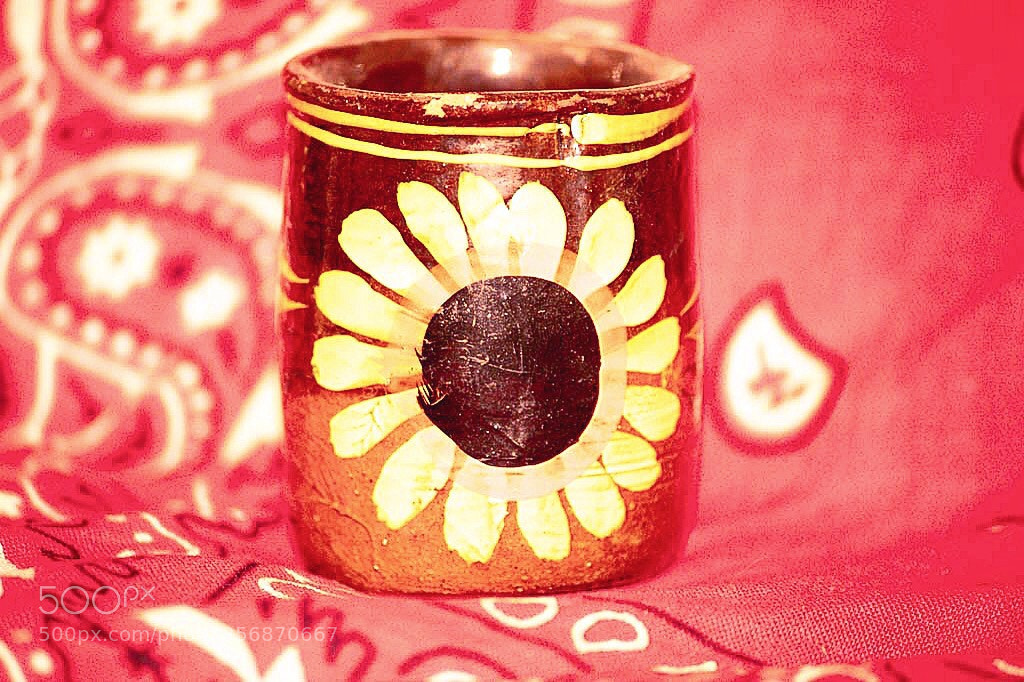 Canon EOS 1300D (EOS Rebel T6 / EOS Kiss X80) sample photo. Untitled photography