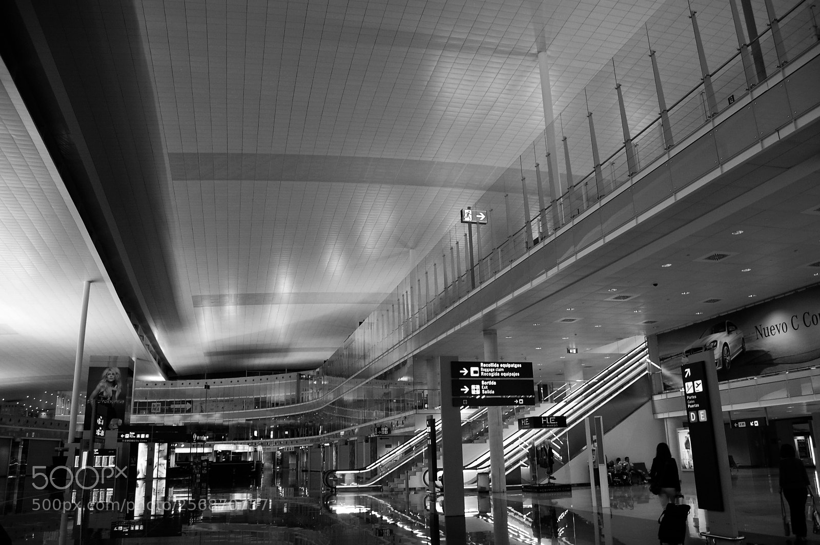 Nikon D40 sample photo. Buscando la salida photography